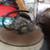 Motorcycle Carburetor Harley Davidson WALBRO CORP CASS CITY MICH U.S.A 5 thumbnail
