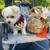 Maltipoo 4 thumbnail