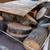 San Gabriel Palm and Tree care Services 13 thumbnail