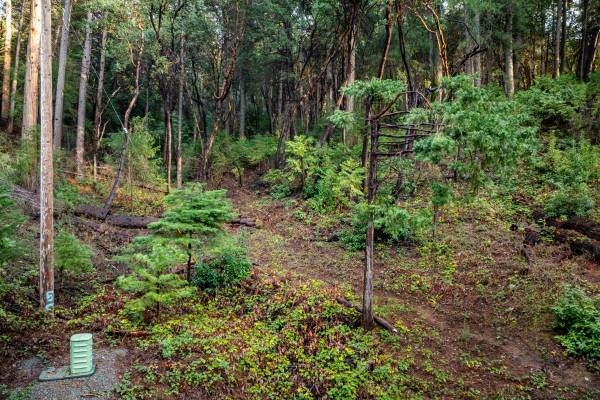 $39,500 1.74 acres para tu cabaña! (Pioneer)64044024129409121
