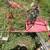 GO KART FRAME 1 thumbnail