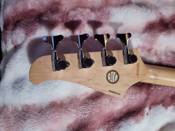 Very rare silvertone fretless bass $400......obo 1