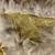 Costume, Golden, Adult S-M 6 thumbnail