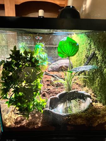 Three reptile tanks with accessories 1