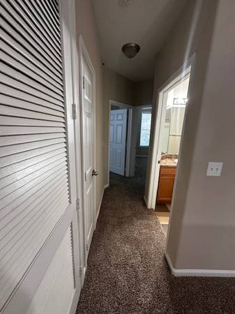 $1,499 / 2br - 1031ft2 - 2 bedroom apt#220 free 1 month base rent waived app&admin (Asheville)64029207318275124