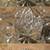 IMPERIAL GLASS NUCUT CLEAR OPEN SUGAR BOWL AND CREAMER 3 thumbnail
