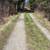 Maine-Pristine 9.5 Ac Cobscoot Bay with 565' Bay frontage 8 thumbnail