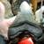 MEGALODON Fossil Giant Shark Tooth All Natural 20 thumbnail