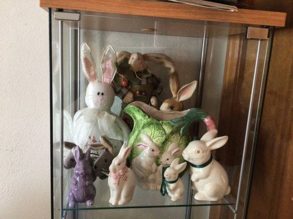 Bunny Rabbit Collection 1