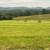 Round Bale Hay 4 thumbnail