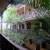 2 Parking Available! Hollywood Stars Style! 2 Story Villas! 22 thumbnail