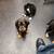 German Shepherd puppy mix 3 thumbnail
