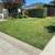 🏠VAZQUEZ Trees, Gardening, Maintenance, Hauling, more. Affordable🏠 10 thumbnail