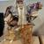 1930s Benkei composite doll: Japanese Kimekomi dolls ($95ea) 2 thumbnail