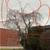 Need a tree trimmer? Low cost tree services 13 thumbnail