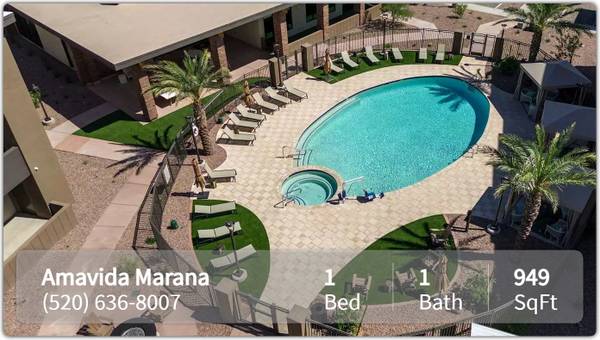 Make yourself at home! Beautiful 1 bed, 1 bath in Tucson 1