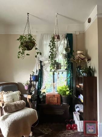 $780 / 6 habitaciones - 210 pies² - Cooperativa artística LGBTQ+ cerca de RAD/ABtech - temporal a largo plazo (Asheville)63179790599425123