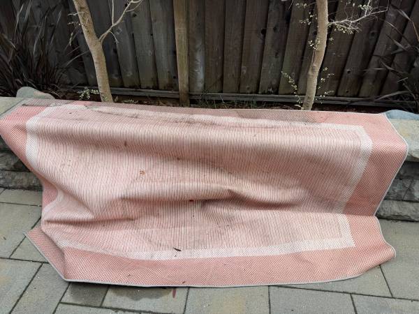 Free outdoor rug 1