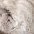 French Terry baby silky soft fabric Natural yarn Rolls White 6 thumbnail