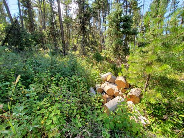 $65,000 / 43560ft2 - 1Acre off Grid lot Minutes from Lincoln off Dalton MtRd (Lincoln)63656975694209120