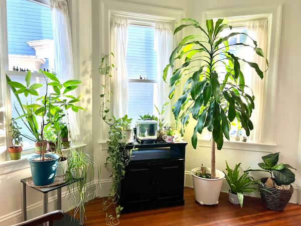 $1,850 / 1br - Bright Spacious Entire House + Dedicated Parking—Amazing Neighborhood (Wayland Square, Providence)64204829066755123