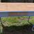 Solid Wood Table/Desk 2 thumbnail