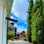 4 Bedroom 4 Bathroom Fully Furnished House In San Juan Capistrano With 9 thumbnail