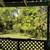 3229 Mccully Rd., Allison Park, PA 15101-1333 5 thumbnail