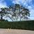 Tree service/tractor work/landscaping,San Jose,Morgan Hill Holliste Gi 11 thumbnail