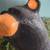 Big Sky Carvers Wood Arnold Bear 5 thumbnail