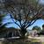 🌴HERNANDEZ TREE SERVICE&LANDSCAPING🍀 14 thumbnail