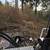 LAND CLEARING & TREE REMOVAL — FAST, PROFESSIONAL SERVICE 6 thumbnail