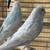 Parakeet 19 thumbnail