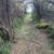 16 Acres Boardering Canadian River near Boys Ranch 4 thumbnail