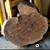 Dark Walnut Live Edge Slabs 18 thumbnail