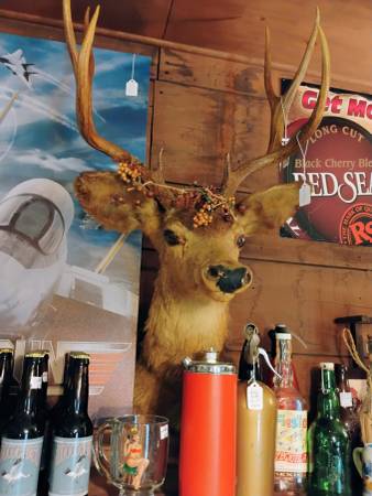 Mounted Deer Head 1