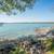 Historic Brick Home on Lake Huron 7 thumbnail