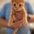 Kitten 1 thumbnail