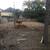 !!!!!!!HOUSE PADS-DEMOLITION -GRADDING-SELECT FILL-LANDCLEARING!!!!!!! 2 thumbnail