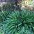 Plants & Trees 1 thumbnail