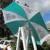 Cypress Gardens Umbrella 2 thumbnail