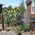 charming one-bath standalone house with 800 square foot basement 21 thumbnail