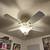 Ceiling Fan 2 thumbnail