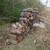 Firewood 1 thumbnail