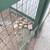 $420 Shared room for rent, Between UCSD and Mesa College 10 thumbnail