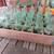 WOODEN SODA CRATES CARRIERS PEPSI, COCA COLA, ORANGE CRUSH W BOTTLES 9 thumbnail