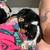 4 Male Australian Shepard and Dalmatian Puppies Free to a Good Home 2 thumbnail
