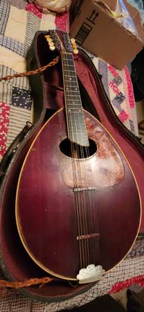 Mandolin 1
