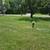 Cemetery Plots-Price Reduction 3 thumbnail