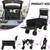 Stroller Cart w/ tailgate 2 thumbnail